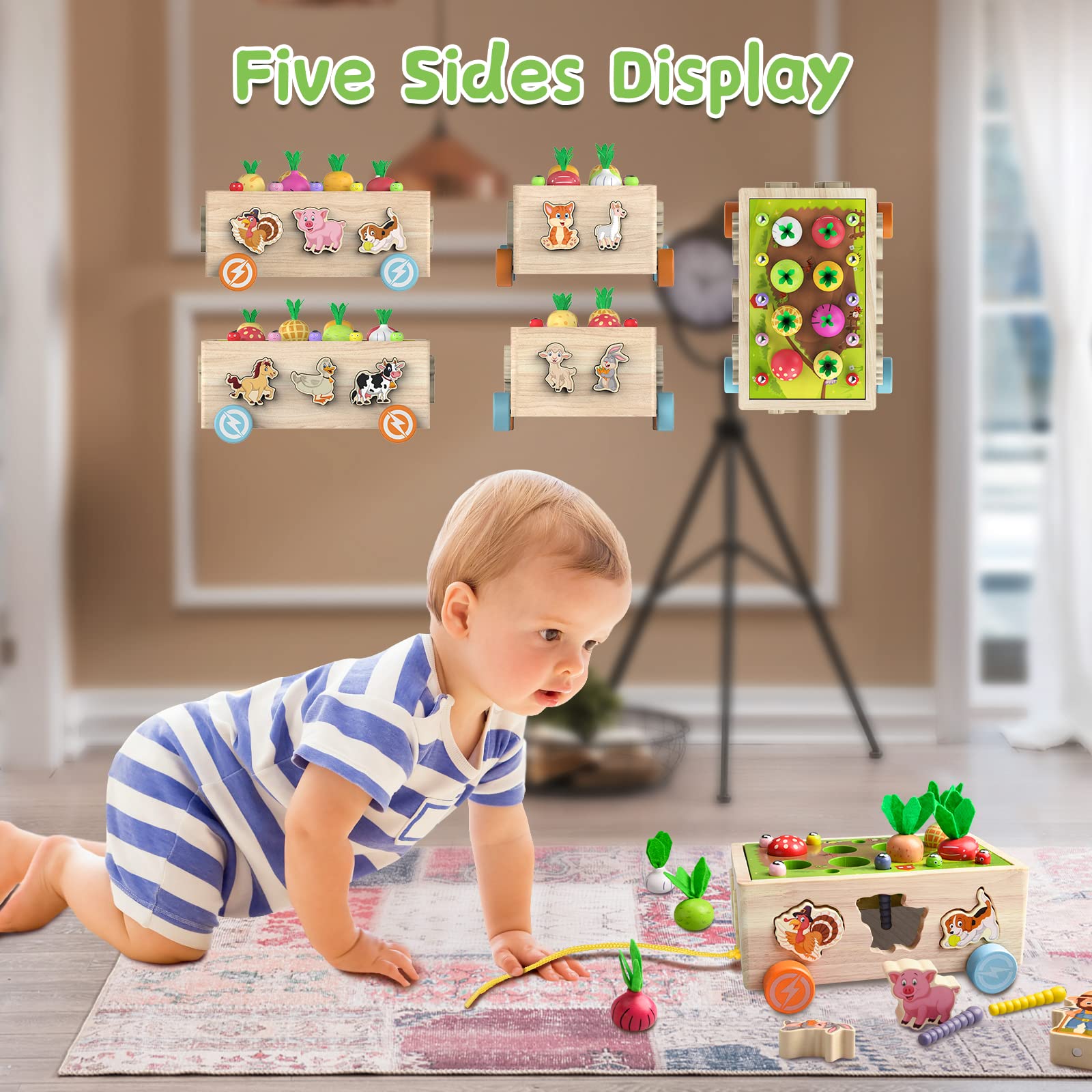 小さな子どものモンテッソーリ  DVD 2巻セット Amazon.co.jp: 小さな子どものモンテッソーリ DVD 2巻セット